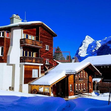 Chalet Anemone 2 Appartement Mürren Buitenkant foto