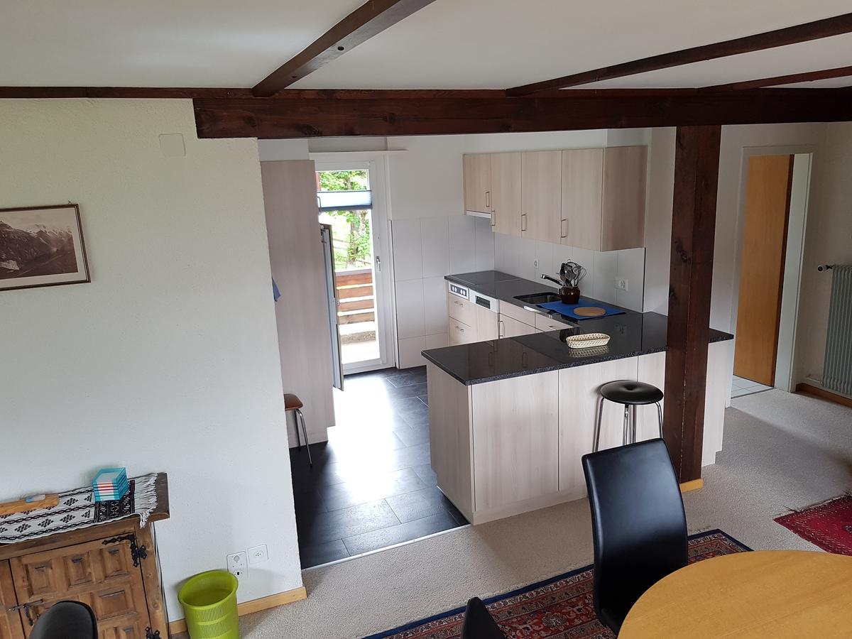 Chalet Anemone 2 Appartement Mürren Buitenkant foto