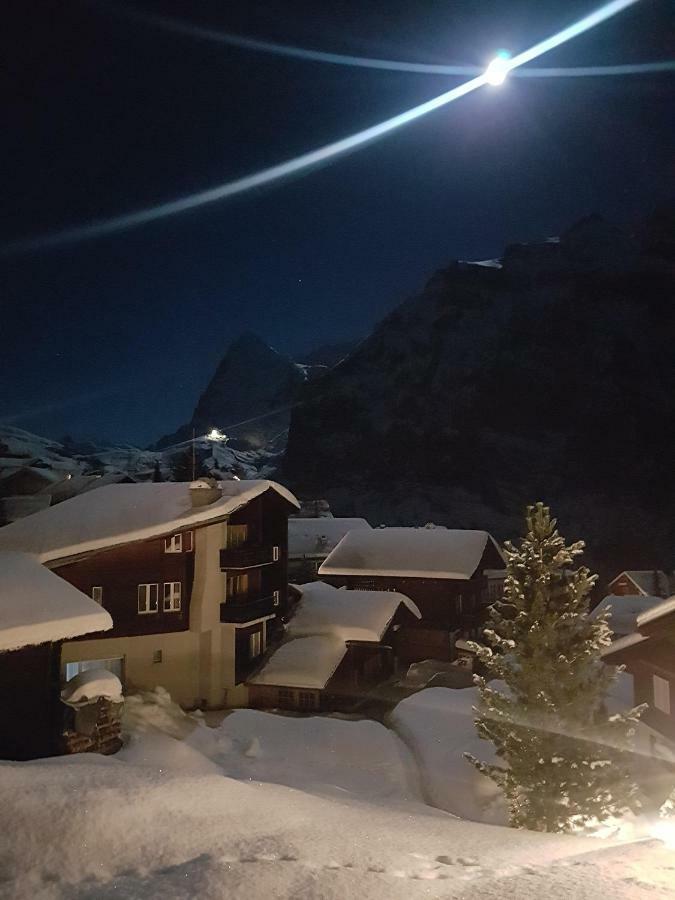 Chalet Anemone 2 Appartement Mürren Buitenkant foto